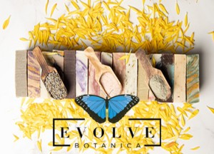 Evolve Botanica Co