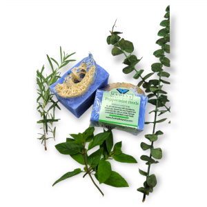 Peppermint Heels Pedicure Soap