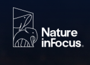 Nature inFocus Brings India and the World Up to Date Wildlife Happenings