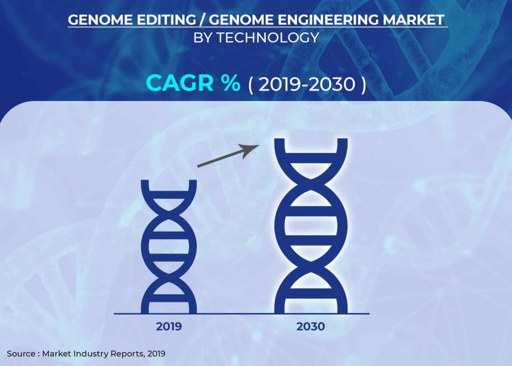 Genome EditingGenome Engineering Market Genome EditingGenome Engineering Market