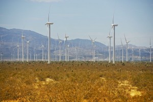 Antelope Valley Wind Farm
