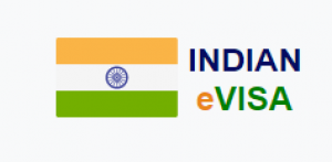 Basic Requirements For The Indian E-Visa Application – Discussed By Indiavisaonline Professionals