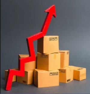 ARKA online, Complete Accounting for Businesses and Housekeeping Payroll Service