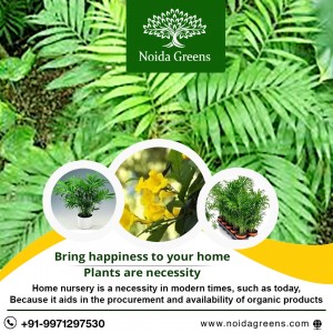 Best Soil Fertilisers Supplier In Noida