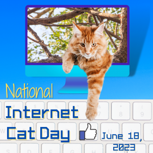 Nationsl internet cat day