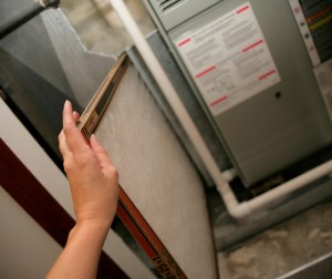 154404590 852429878947148 7446962769610398598 n