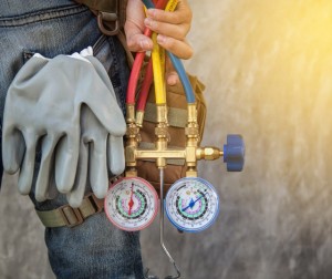 170180564 873831776806958 520740385495353074 n