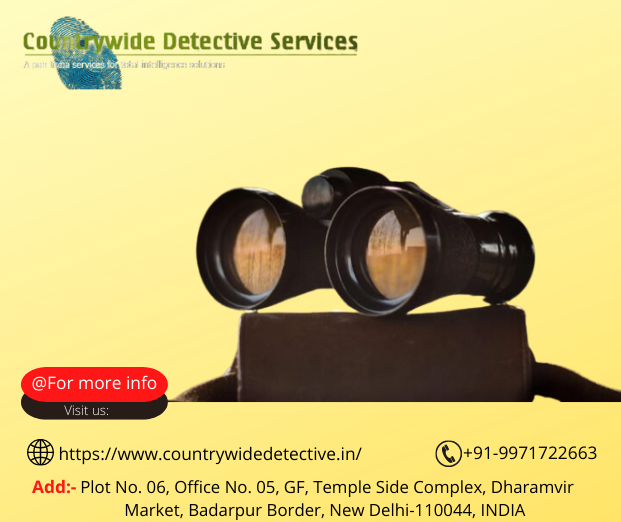 Detective Agency in Delhi Private Detective Agency IssueWire