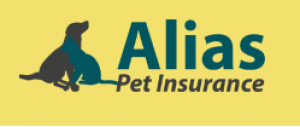 Guide to Find Top Quality Pet Insurance for Senior Cats