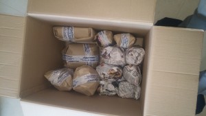 Pioneer Packers and Movers