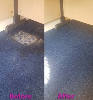 Trusted carpet cleaning service Brenton Carpet Care offers effective and affordable services in Nottingham