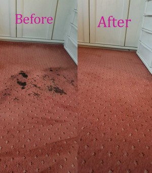 Trusted carpet cleaning service Brenton Carpet Care offers effective and affordable services in Nottingham