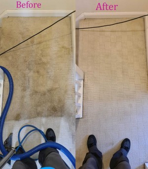 Trusted carpet cleaning service Brenton Carpet Care offers effective and affordable services in Nottingham