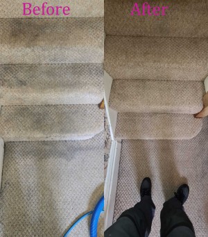 Trusted carpet cleaning service Brenton Carpet Care offers effective and affordable services in Nottingham