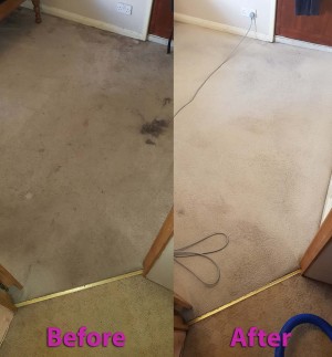 Trusted carpet cleaning service Brenton Carpet Care offers effective and affordable services in Nottingham