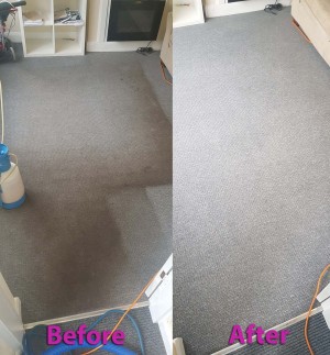 Trusted carpet cleaning service Brenton Carpet Care offers effective and affordable services in Nottingham