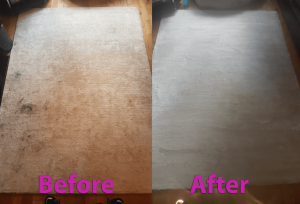 Trusted carpet cleaning service Brenton Carpet Care offers effective and affordable services in Nottingham
