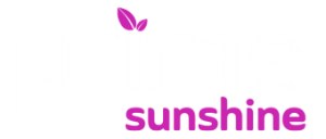 PS Logo