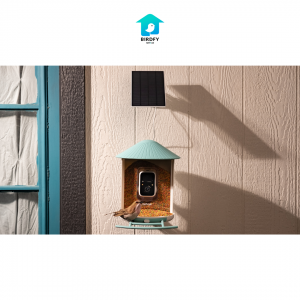 Best Bird Feeder Camera 2022