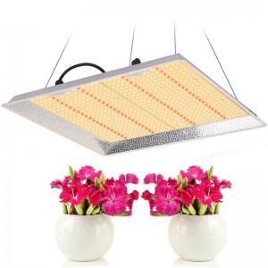 hydroponic equipment