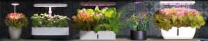 plant LED light