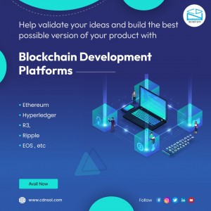 Blockchain platforms