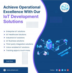 IoT development services