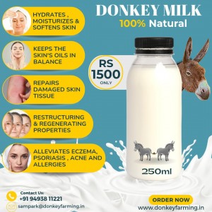 Donkey Milk Bath For Your Skin