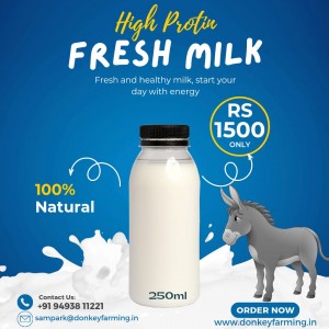 Donkey Milk Bath For Your Skin