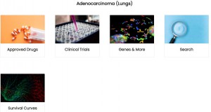 Deep dive into any selected type of Cancer