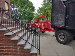 Get help in removing trees in this Hurricane season with AAA Tree Service