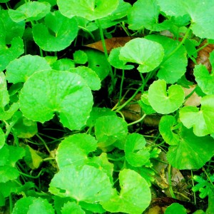 Metworld DMCC Trading group appoints new Director to drive ahead rail supplying