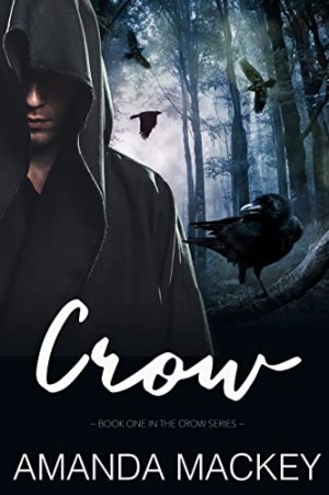‘Crow: A dark romance’ by Amanda Mackey