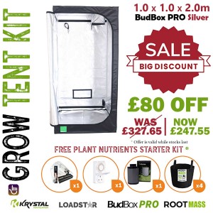 budbox silver 1x1x2 W F