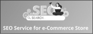 Seo Service for ecommerce Store