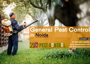 pest control service