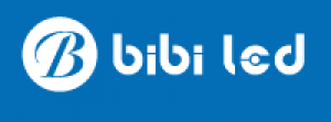 BIBI LED Presents Its Excellent Professional Export Team