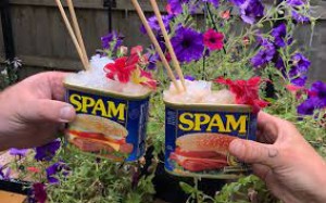 HULA-BURGER Is Test Marketing “SPAM-PUNCH” – A Spam Flavored Hawaiian Soft Drink