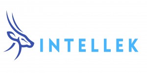 Intellek Logo Web New
