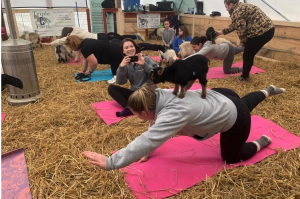 Screen Shot 2022 08 23 at 10 34 00 AM