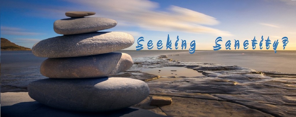 seeking sancity seeking sancity