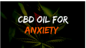 CBD oil will be a 1 trillion dollar business by 2025