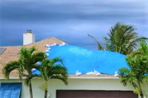 Roofing Tarps