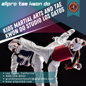 kids martial arts and tae kwon do studio los gatos California