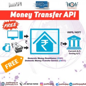 Money Transfer API In India
