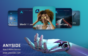 Anyside Blockchain Name Service | Cross Chain Web3 NFT Token