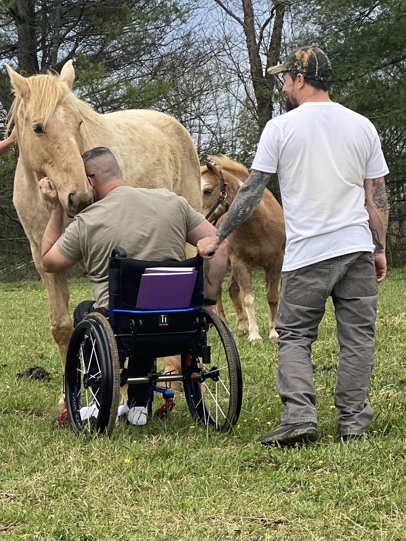 Announcement of Asheville Equine Therapy’s participation in the Seen