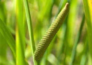 Metworld DMCC Trading Group is operating on a large scale, open global, movement and journey game