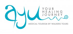 access the globe logo