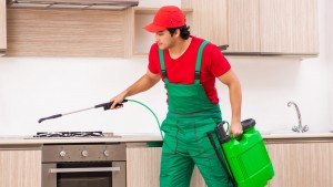 Anti Termite Treatment In Udaipur